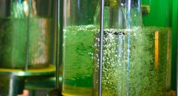 Pesquisadores identificam gene que pode ampliar eficiência na produção de etanol